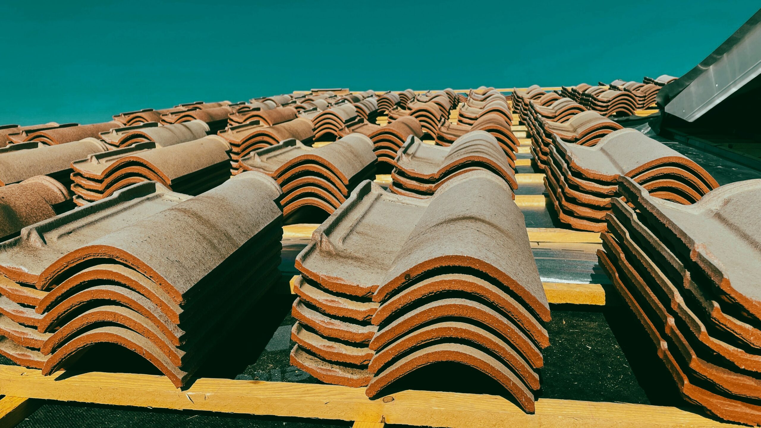 jametlene-reskp-3ECOXx-tCvc-unsplash
